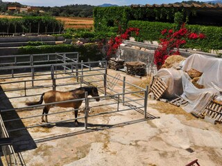 Tenuta Búger Registrazione all'aperto 10