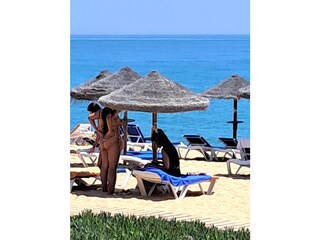 Apartment Quarteira  34