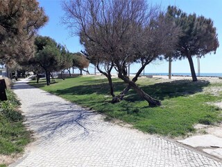 Apartment Quarteira Umgebung 27