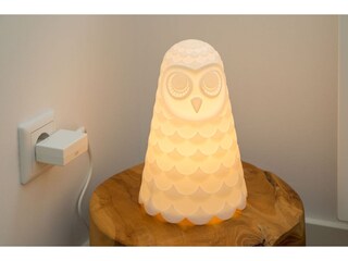 Ferienhaus Oostkapelle  40