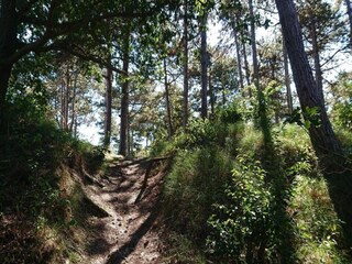 Casa per le vacanze Oostkapelle Ambiente 26