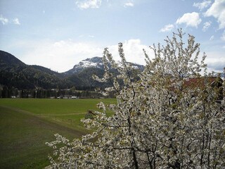 Appartamento per vacanze Reit im Winkl Ambiente 28