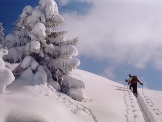 Appartamento per vacanze Reit im Winkl Ambiente 24