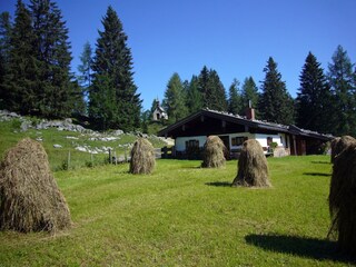 Appartamento per vacanze Reit im Winkl Ambiente 32