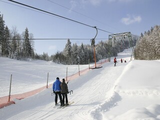 Appartamento per vacanze St. Martin bei Lofer Ambiente 35