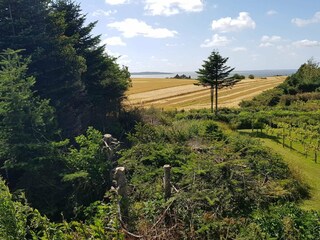Casa de vacaciones Løgstør Grabación al aire libre 6