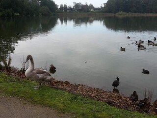 Vakantiehuis Løgstør  52