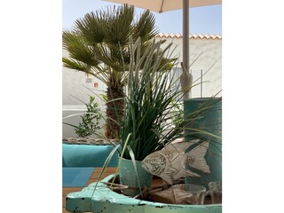 Appartement Costa Calma Buitenaudio-opname 3