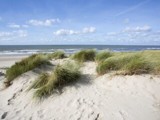 Casa per le vacanze Sint Maarten Ambiente 30