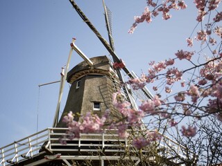 Casa per le vacanze Sint Maarten Ambiente 37