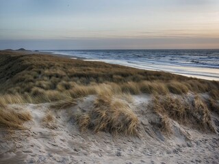 Casa per le vacanze Sint Maarten Ambiente 39