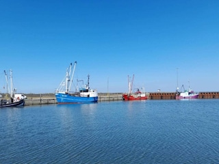 Appartement Havneby  13