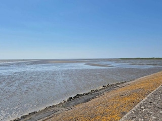 Apartment Havneby  9