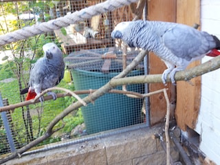 Holiday apartment Wernigerode Outdoor Recording 11