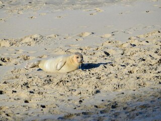 Apartment Vlissingen Umgebung 24