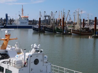 Hafen Norddeich