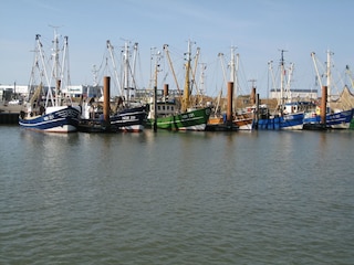 Hafen Norddeich