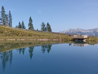 Sommer in den Bergen