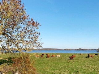 Vakantiehuis Bromölla  6