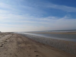 Appartement Renesse Environnement 26