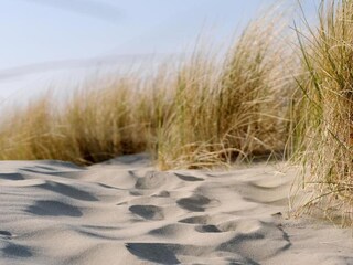 Appartement Renesse Environnement 31