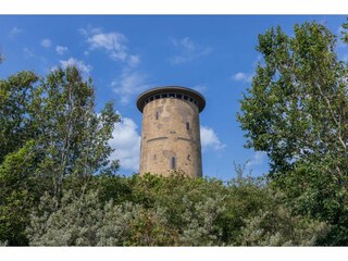 Vakantiehuis Domburg Omgeving 20