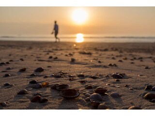 Casa per le vacanze Domburg Ambiente 31