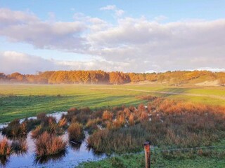Vakantiehuis Domburg Omgeving 28