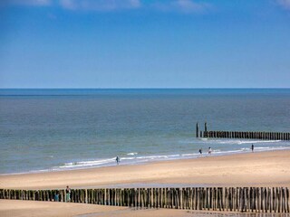 Maison de vacances Domburg Environnement 38