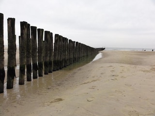 Holiday house Domburg Environment 39