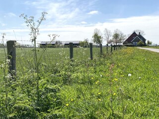 Casa per le vacanze Leeuwarden Registrazione all'aperto 7