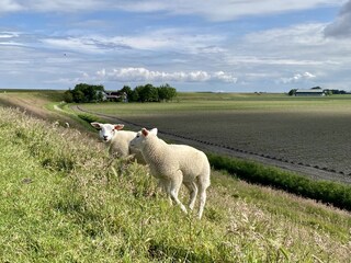 Casa per le vacanze Leeuwarden Ambiente 29