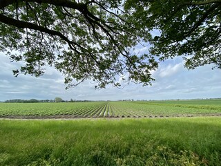Casa per le vacanze Leeuwarden Ambiente 32