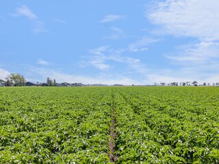 Casa per le vacanze Leeuwarden Ambiente 34