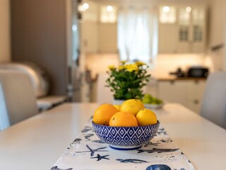 Villa Vrh Features 21