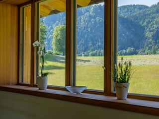 Chalet Reit im Winkl Environment 6