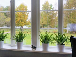 Vakantiehuis Roasjö  15