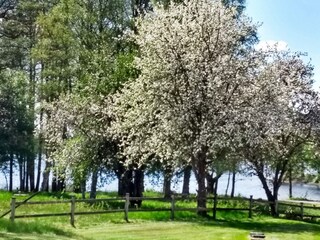 Vakantiehuis Roasjö  27