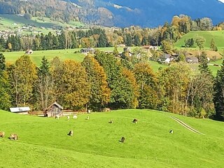 Appartamento per vacanze Egg in Vorarlberg Registrazione all'aperto 6