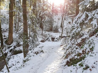 Appartamento per vacanze Egg in Vorarlberg Ambiente 38