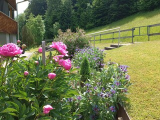 Vakantieappartement Egg in Vorarlberg Buitenaudio-opname 5