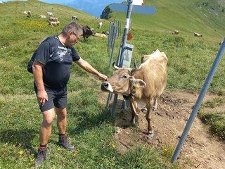 Appartamento per vacanze Egg in Vorarlberg Ambiente 34