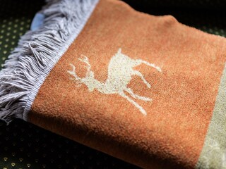 Appartamento per vacanze Egg in Vorarlberg Caratteristiche 25