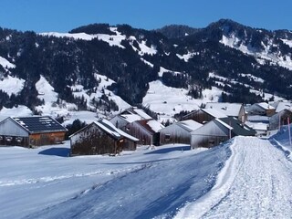 Appartamento per vacanze Egg in Vorarlberg Ambiente 39