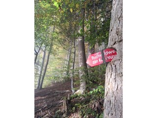 Vakantieappartement Egg in Vorarlberg Omgeving 40