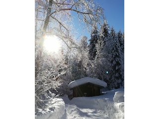 Vakantieappartement Oberstdorf Omgeving 21