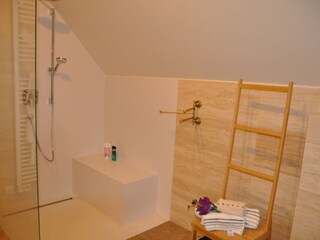 Villa Jagerberg Caratteristiche 14