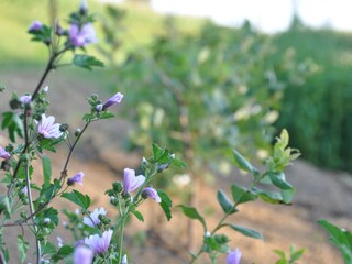 Villa Jagerberg Ambiente 19