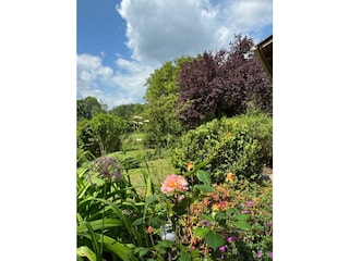 Blick von der Terrasse