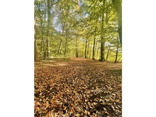 Viele Wege für Radtouren und Wanderungen